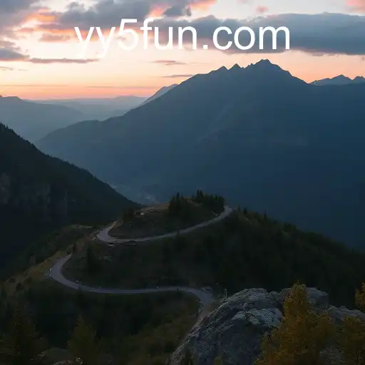 Understanding User Agreements: A Case Study of YY5.com